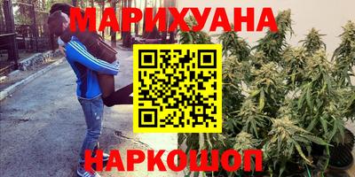 PSILOCYBIN Мариинск