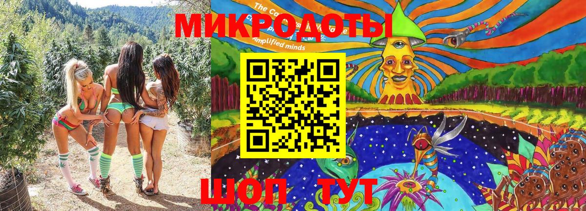 Галлюциногенные грибы Psilocybine cubensis Учалы